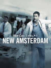 Новый Амстердам (Сезон 1-2)