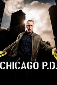 Полиция Чикаго (Сезон 6-7)