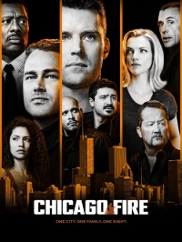 Пожарные Чикаго (Сезон 7-8)
